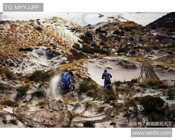 激情对决塞内加尔与突尼斯在7月15日展开巅峰之战争夺非洲杯荣耀