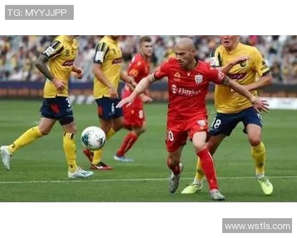 新城堡联队与阿德莱德联的精彩对决前瞻及赛果预测分析