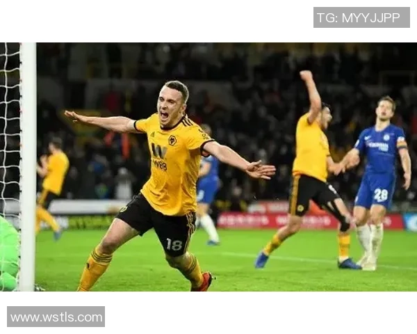 纽卡斯尔联与狼队对决前瞻及比赛结果分析预测