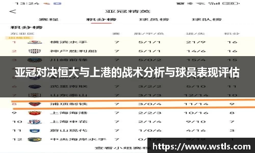 zoty中欧平台